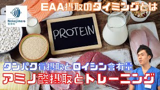 アミノ酸と​トレーニング（アミノ酸の単独の摂取は、筋タンパク質合成に有意な増加をもたらすため、タンパク質のネットバランスがプラスになる）／Nakajima整骨院