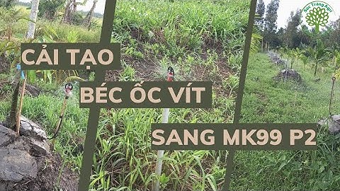 Vận hành hệ thống tưới cải tạo từ béc ốc vít sang béc tưới tiết kiệm MK99 P2