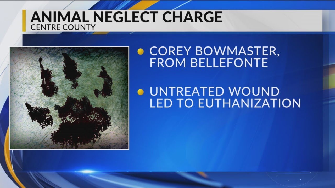 Bellefonte man charged after pet dog euthanized by vet, troopers say