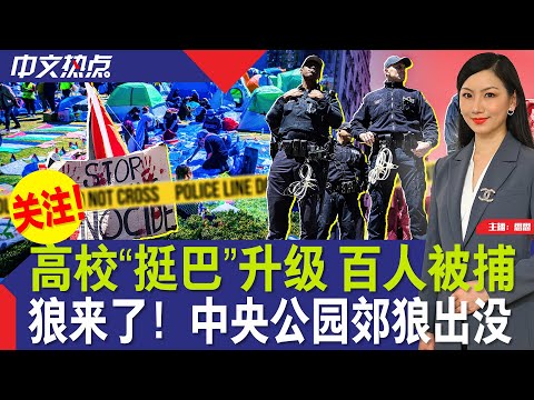 高校“挺巴”升级 百人被捕；狼来了！中央公园郊狼出没；白宫欲为110万无证移民提供身份；“僵尸鹿”病毒蔓延 2人亡；华裔少年挑战独自飞越7大洲；纽约免费公交年底结束《中文热点》Apr.23.2024