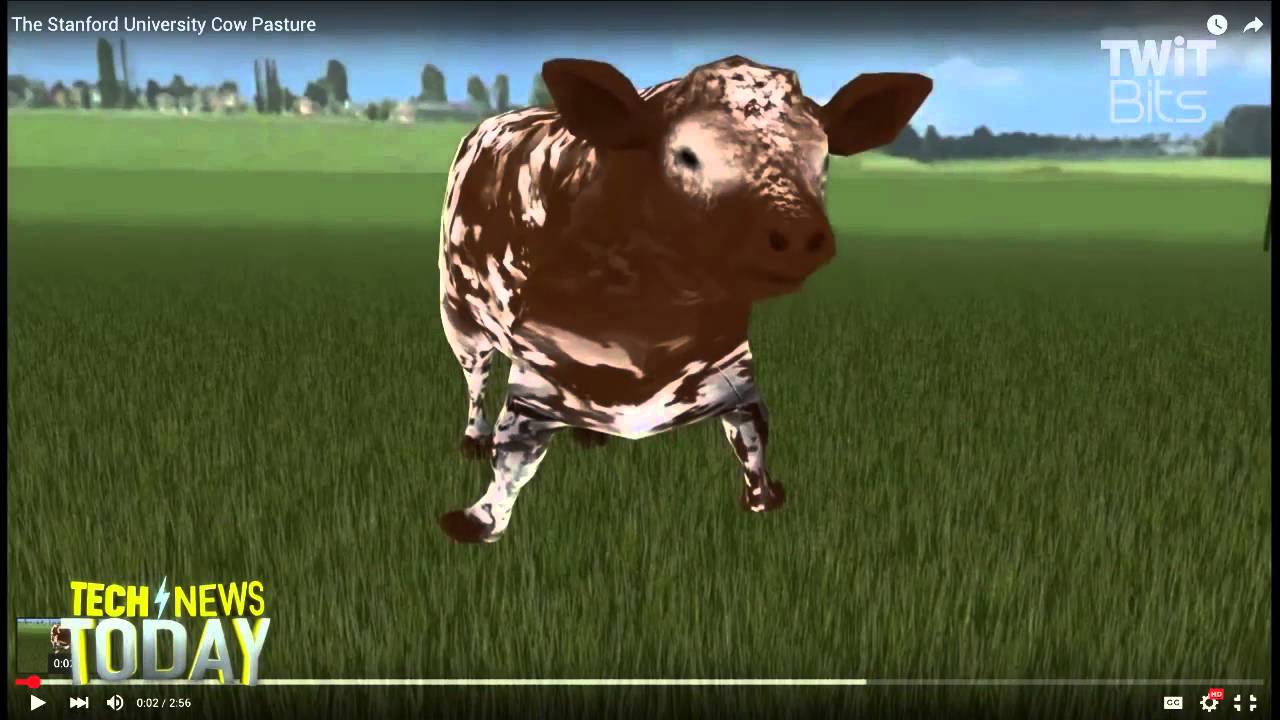 What Is Cow Virtual Reality Youtube