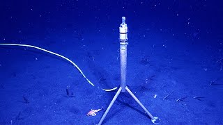 7 Interesting Deep Ocean Sounds Recorded on Hydrophones