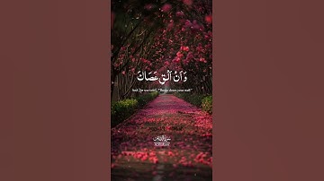 سورة القصص | الآية 31-30 | القاري: بلال دربالي ♡