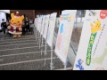 Pikachu lights up Xmas - The Japan News