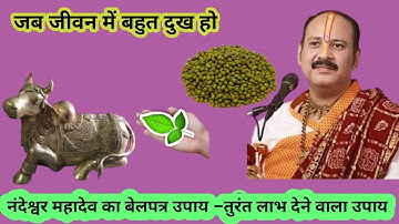 “जब जीवन में बहुत दुख हो – पंडित प्रदीप मिश्रा के रामबाण उपाय” #pujyapanditpradeepmishra 