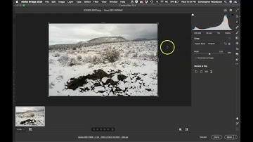 Adobe Camera Raw - Crop / Align tool