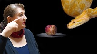 Работающие методы убеждения // Мастерство общения
