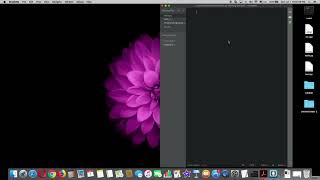 47  While Loop Python