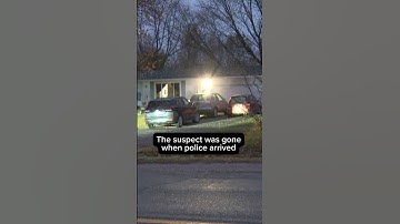 Homeowner, dog stabbed in apparent home invasion