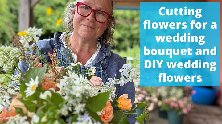 How this flower farmer cuts buckets of flowers for a diy wedding flowers order plus a bridal bouquet