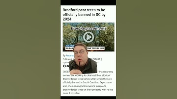 Bradford Pear Trees Banned in SC!  -get a FREE replacement now!