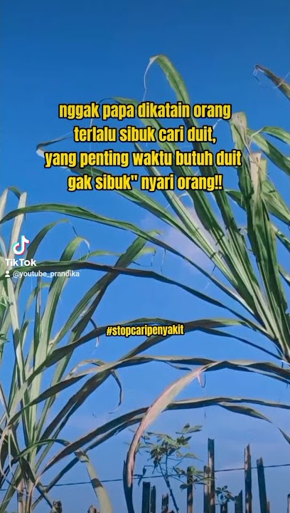video story'wa viral ❤️ ||ayo kerja
