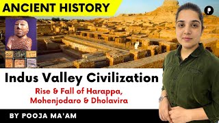 Indus Valley Civilization | Rise and Collapse OF Harappa , Mohenjodaro and Dholavira