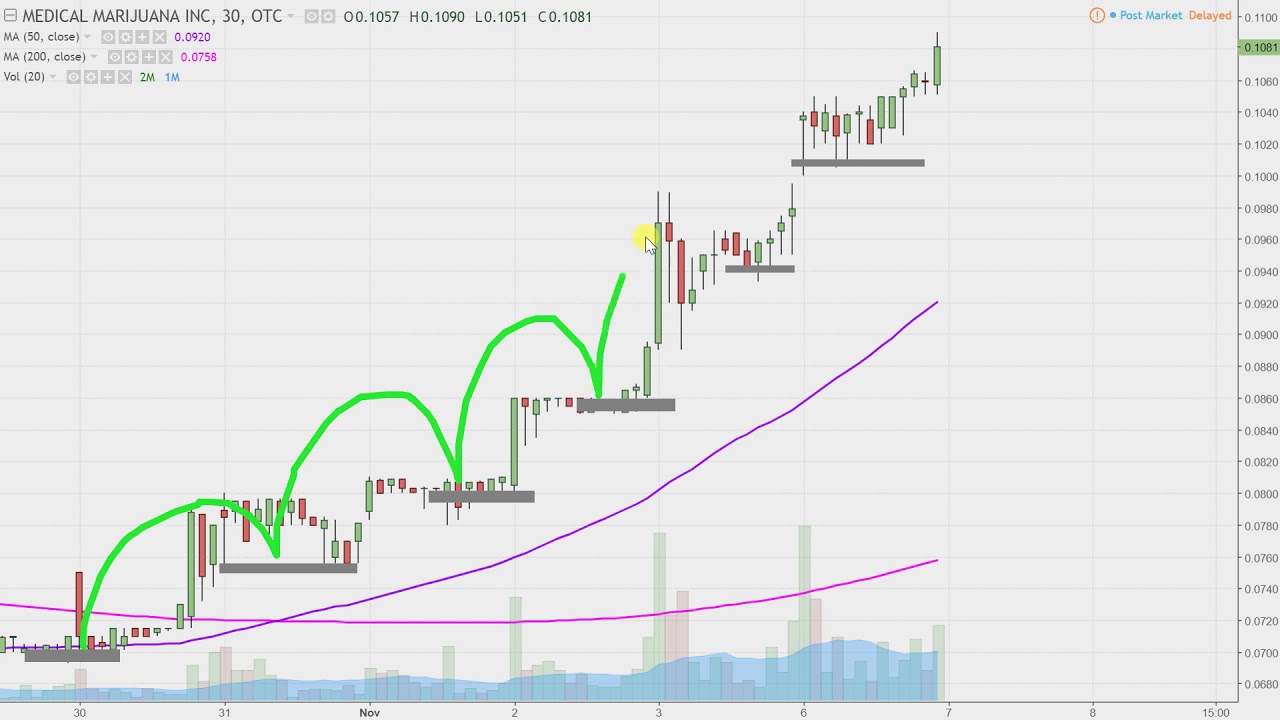 Medical Marijuana Stock Chart