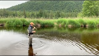 Beginners Guide to Fly Fishing