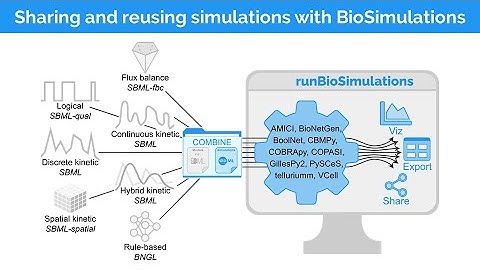 runBioSimuations and BioSimulators tutorials