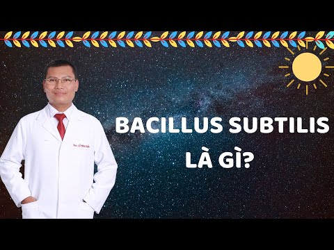 Video: Phản ứng Gram của Bacillus subtilis là gì?