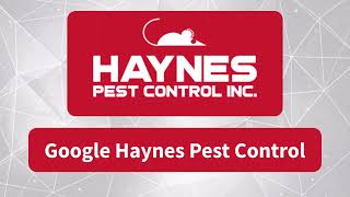 Haynes Pest Control YouTube Ad