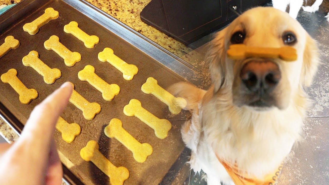 Healthy Homemade Dog Treats - Scs #113