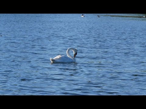Кореновск. Зарисовка. Утро