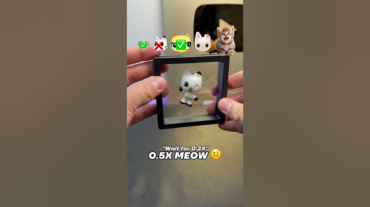 Will the last one fit? 🤔 #meow #catlover