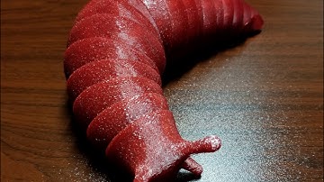 Timelapse 3D Printing Of A Slug