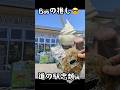 どろぶたハンバーグが大好き😎や〜#道の駅忠類#十勝グルメ