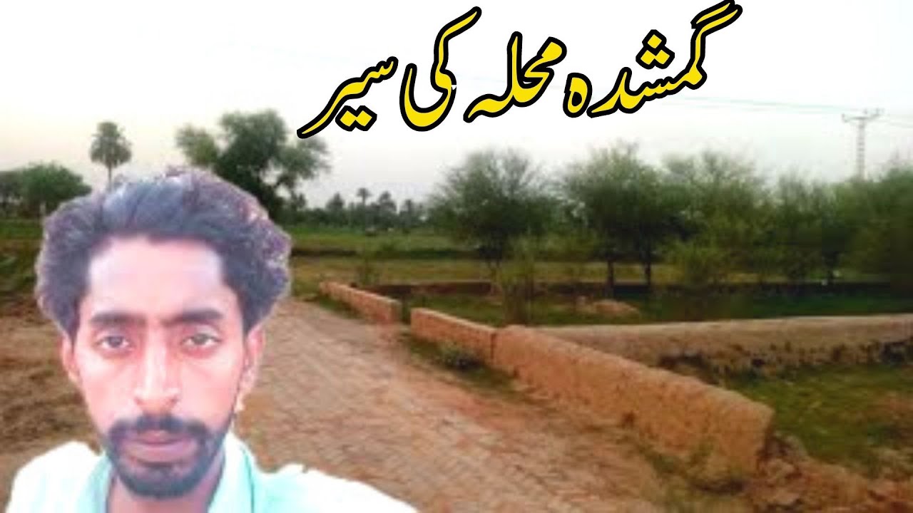 Til Ke Podhe Village Life Vlog Gumshuda Muhala Ki Sair | Syed Asim Vlogs