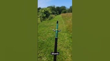 Swhacker Broadhead Test #archery #bowhunting #hunting #bowandarrow #3darchery #deerhunting #hunt