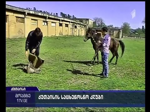 საცხენოსნო კლუბი “იმედი” ყოფილი სამხედრო ბაზის ტერიტორიაზე