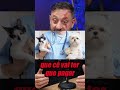 O BIZARRO ESQUEMA CRIMINOSO DE ANIMAIS #biologohenrique #cachorro #ong