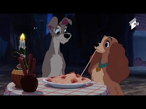 გურმანია - სპაგეტი ხორცის ბურთულებით