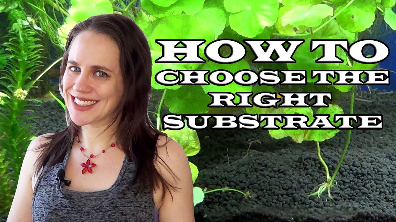 How to choose a substrate on the concrete floor under the laminate 82 How to choose a substrate on the concrete floor under the laminate 66