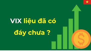 Cổ phiếu VIX liệu đã có đáy ?