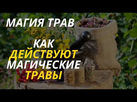 Магия трав | Как действуют магические травы