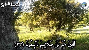سورة المعارج تلاوة رائعة للشيخ عبدالله الموسى