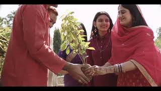 Plant a tree at every occasion | Tree Plantation: Marriage| TVC
