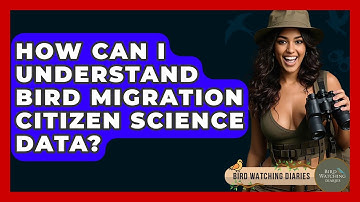 How Can I Understand Bird Migration Citizen Science Data? - Bird Watching Diaries