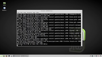 How to update and upgrade packages on linux mint