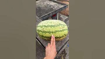 Experiment: Will a watermelon explode if it rolls off a tall building? 🍉💥#shorts