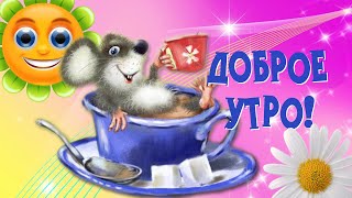 С добрым утром! Мир прекрасен! Утренний позитивчик для друзей🌸