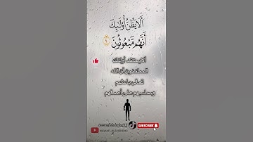 سورة المطففين من ١-٦ علي الحذيفي #القرآن_الكريم #quran #explore