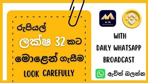 MTFE TEST |Trade with AI for lazy you|MTFE platform review with money investing for deep understand