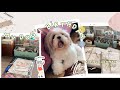 vlog 🎥 packing giveaway prizes + my dog’s birthday (Philippines)