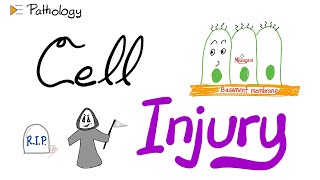 Introduction to Pathology...Cell Injury | A New Pathology Series