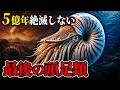 【ゆっくり解説】アンモナイトじゃない！？古代から生きるオウムガイ