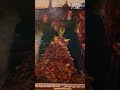 A Beautiful Painting… with a Hidden Melancholy #zoomart   #Millais #AutumnLeaves