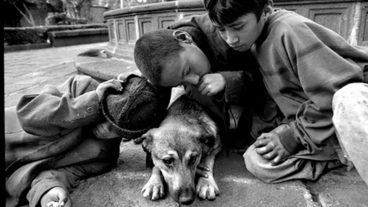 Беспризорные дети это. Бездомный Конгурджа 1972. Безнадзорность и беспризорность. Беспризорные несовершеннолетние. Детская беспризорность в России.
