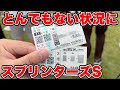 【競馬に人生賭けた大勝負】本当にとんでもない状況になってしまった・・・【ギャン中】【Horse Racing】#競馬 #スプリンターズs #大勝負