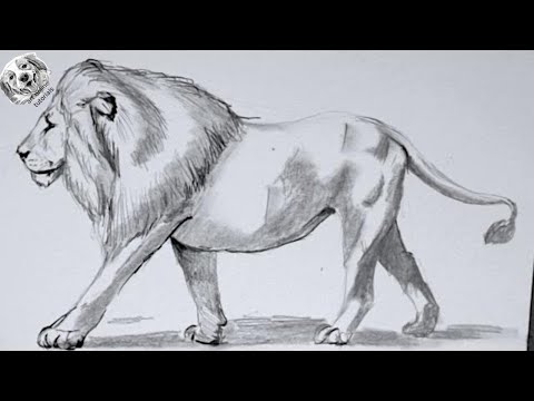 How To Draw Animals: 50 Free Tutorial Videos To Help You Learn